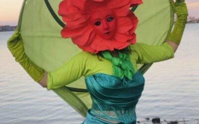 Rozana 20 Years Later